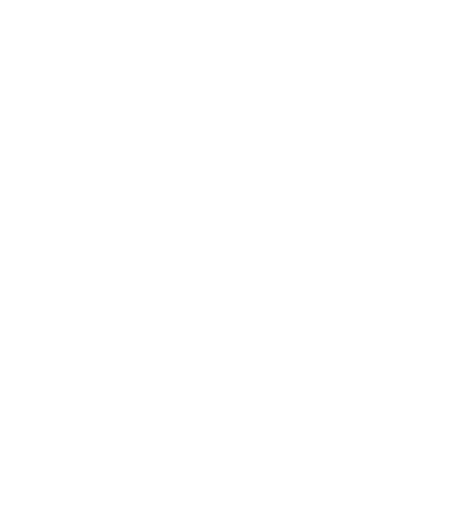 AZF Secure